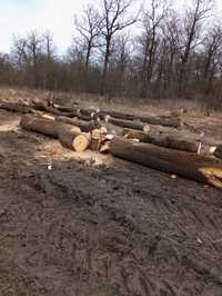 Vând lemne foc: frasin, carpen, stejar