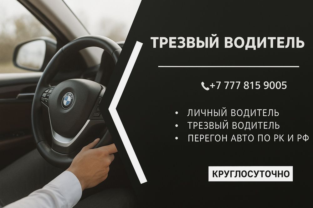 Трезвый водитель