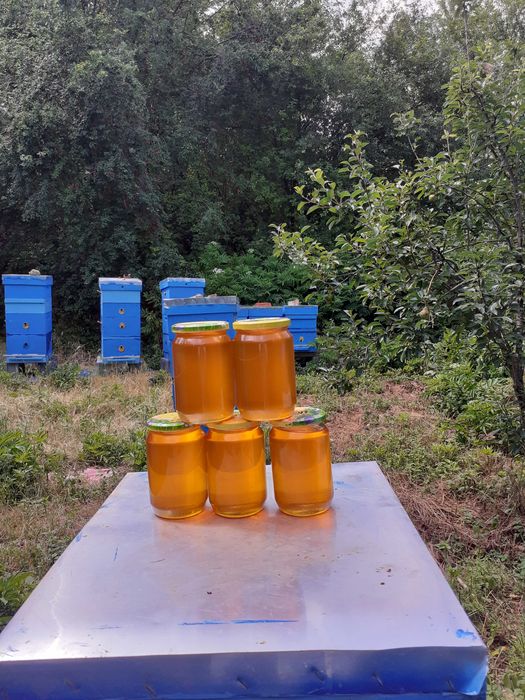 Продавам натурален пчелен мед-букет