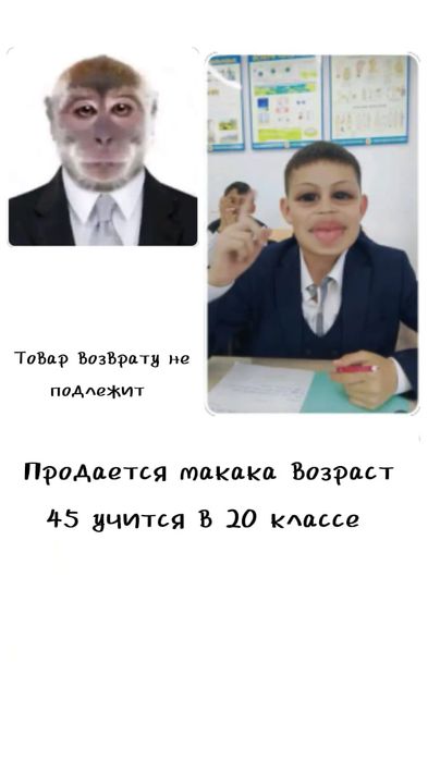 Продается макака