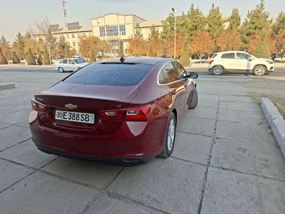 Malibu 2, moshinani xolari zòr