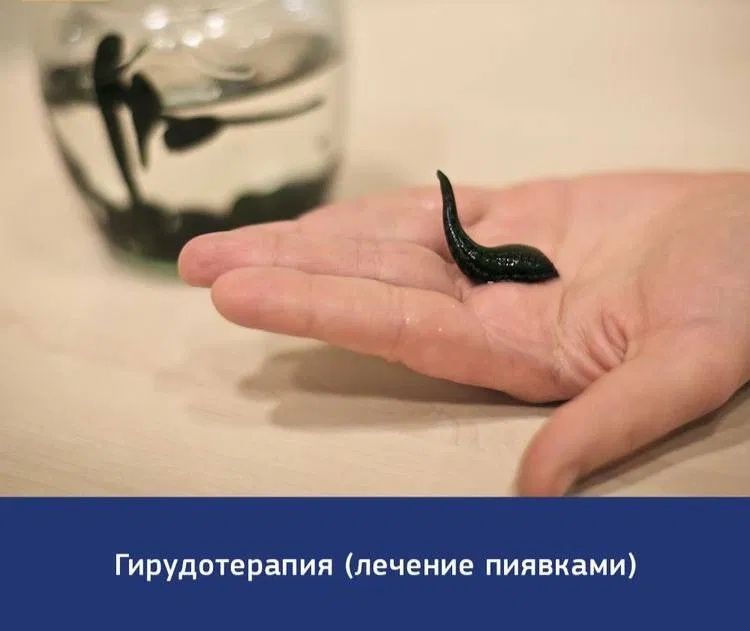 Сифатли зулуклар