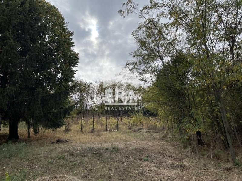 Продава се Парцел в с. Айдемир, Област Силистра - 809 кв.м за 7 €/кв.м - Снимка #1