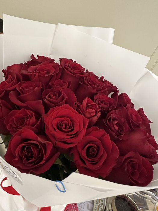 Розы розы свежие