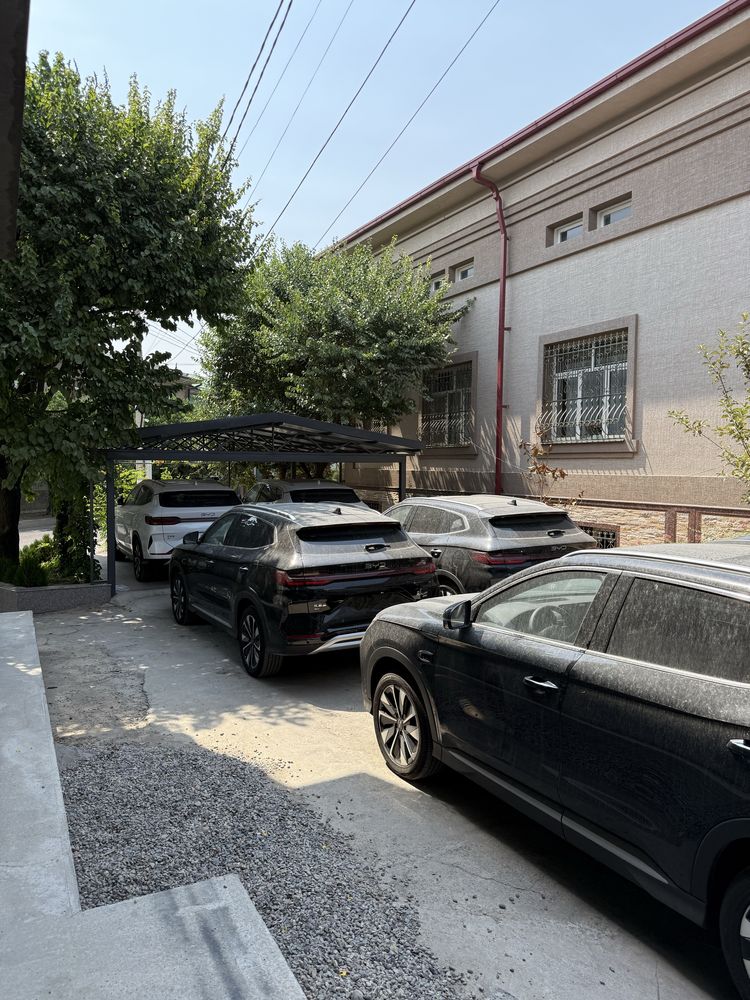 Byd chempion smart 2026