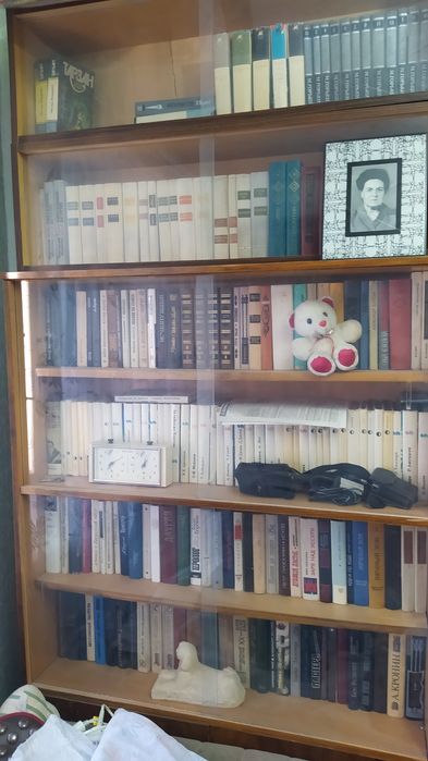 Продам книжный шкаф с книгами.
