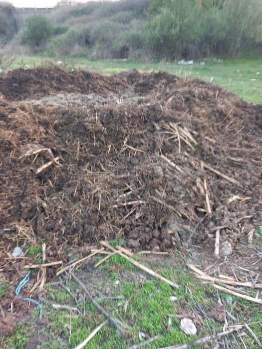 Donez gunoi de grajd