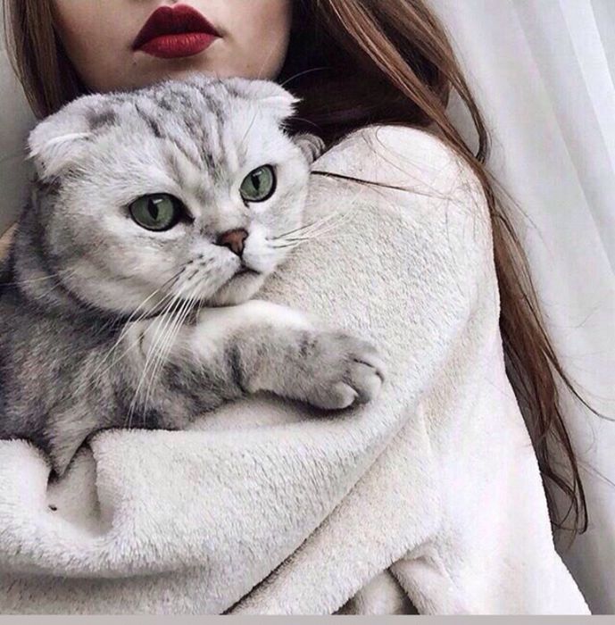 Спа процедуры и массаж лечебный