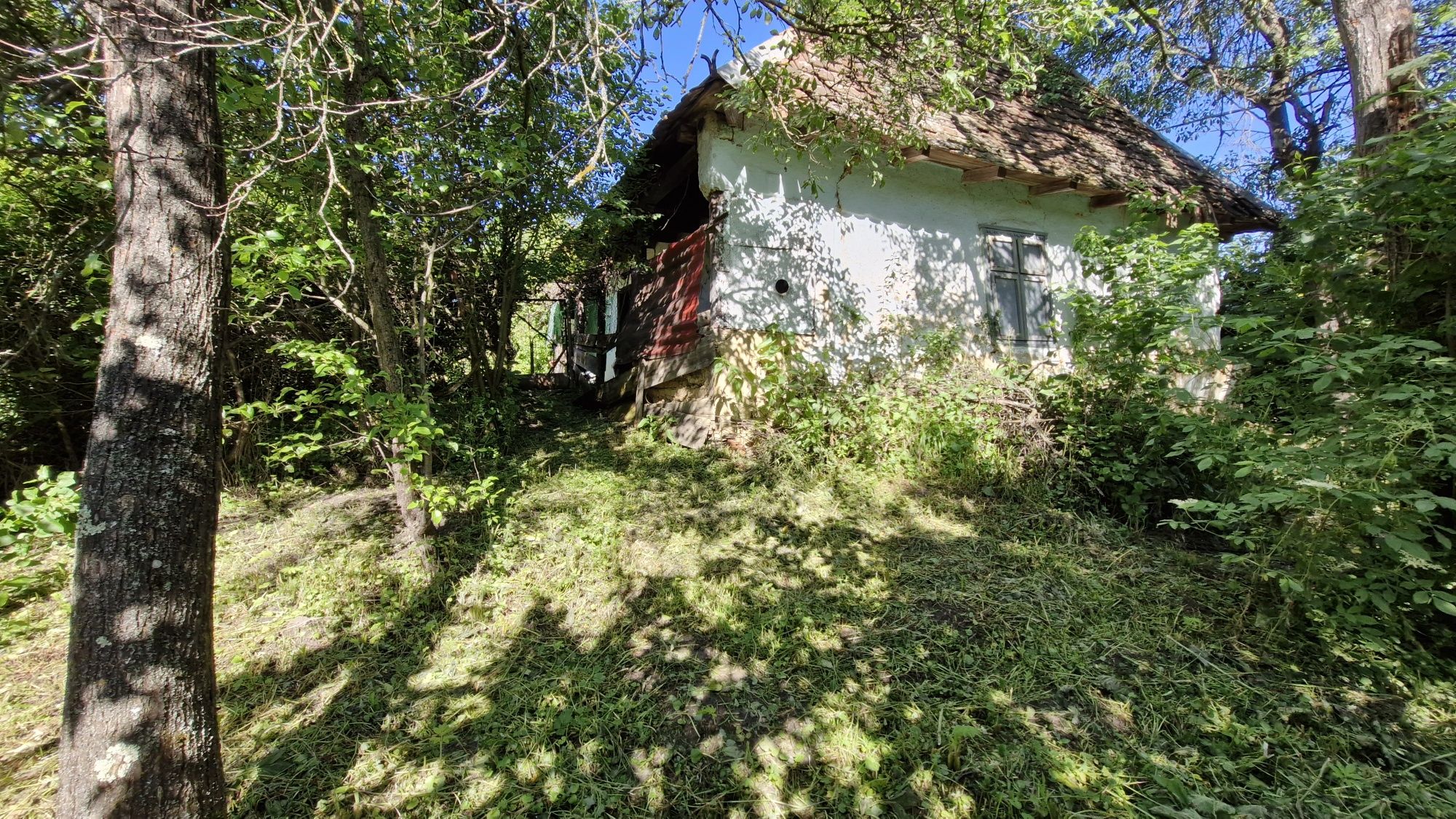 Teren intravilan Dioșod