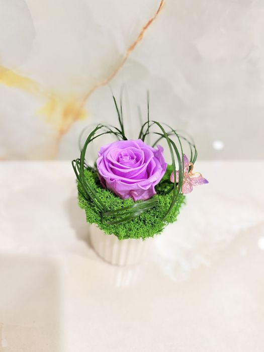 Кашпи с мъх, сапунени и сушени цветя