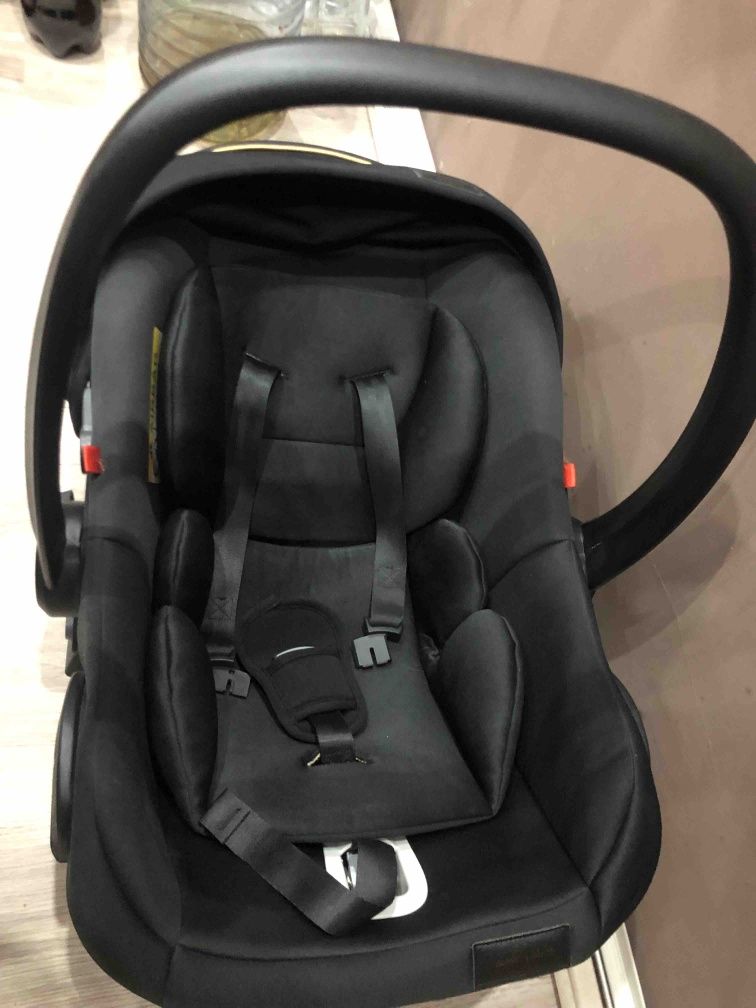 Chipolino Elit gold series