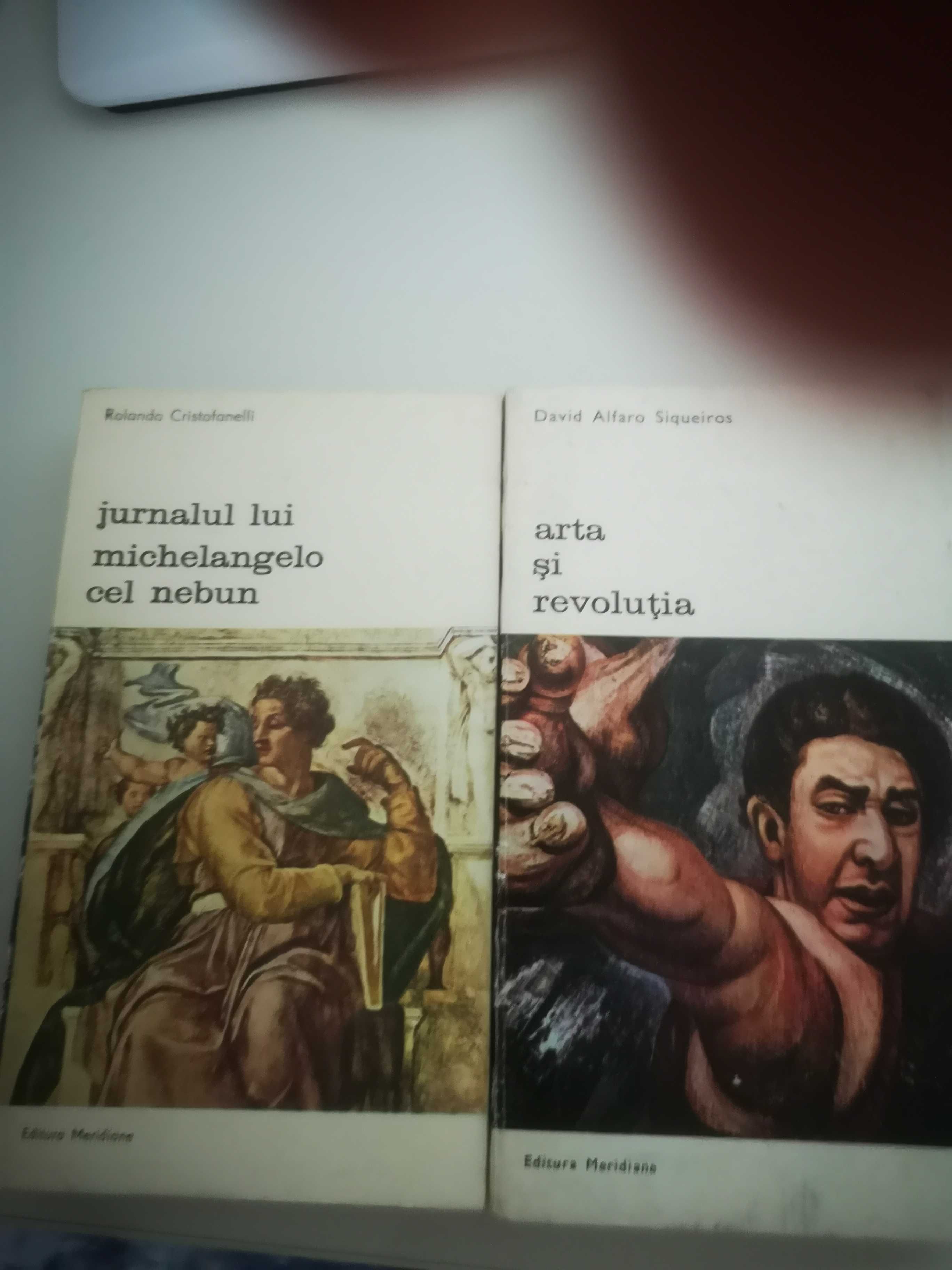 jurmalu lui michelangelo cel nebun/ arata si revolutia