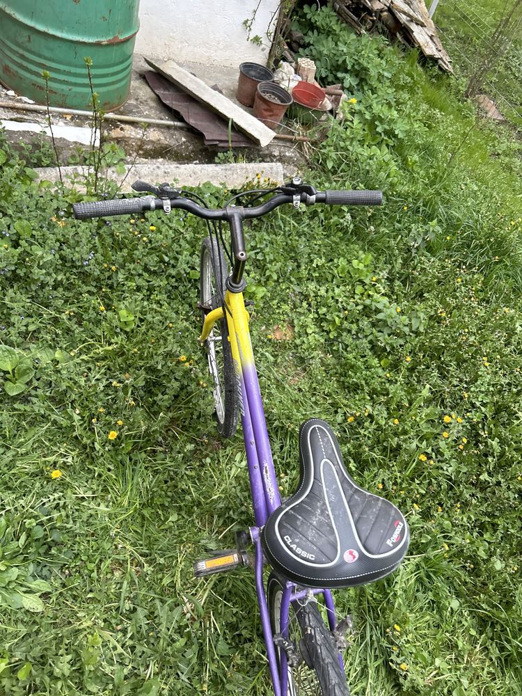 Bicicletă de damă