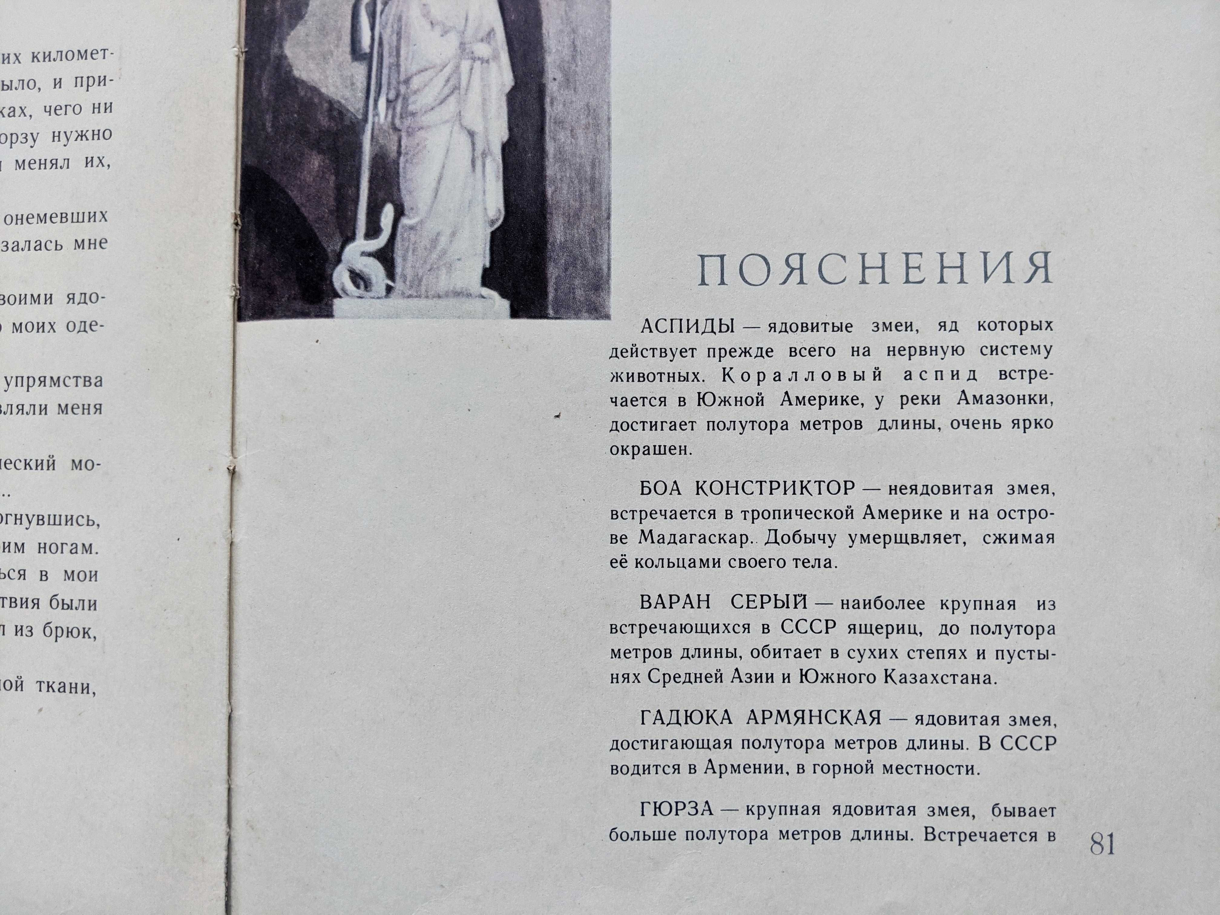 Книга «Шутка с питоном», рассказы о змеях.