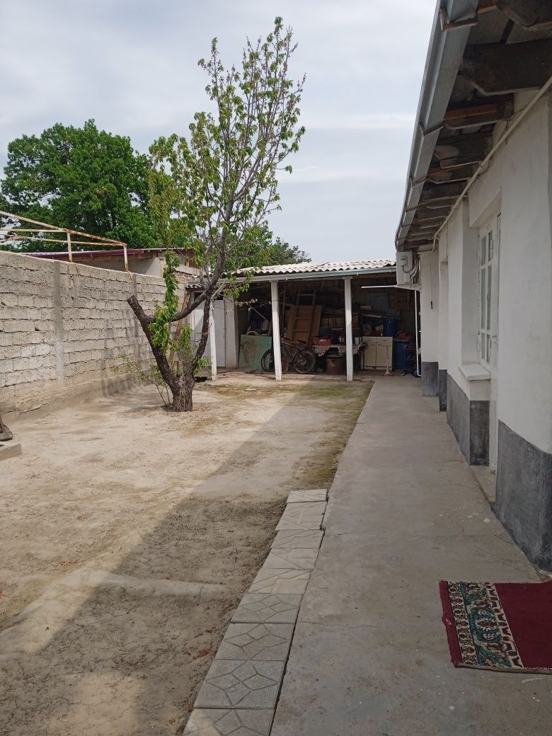 HOVLI SOTILADI oladigan odamlar bezovta qilsin