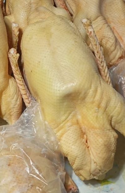Продам гусиное мясо