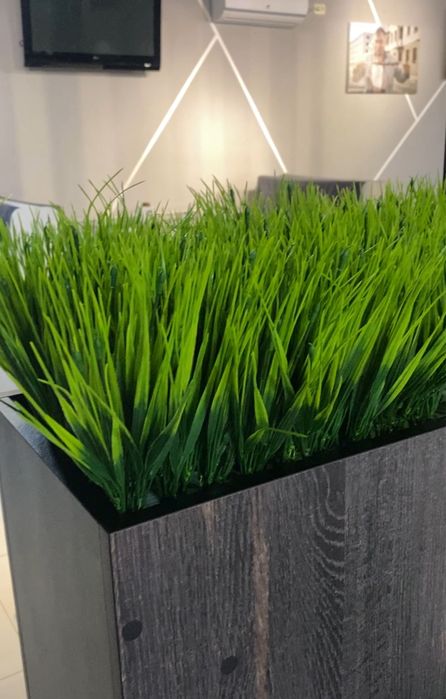 Ветки интерьерные