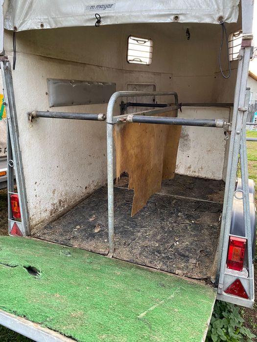 Vând iapă și cârlană semigrele