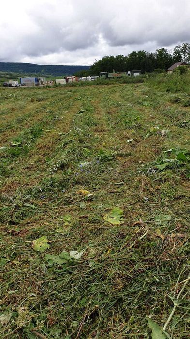 Teren de vanzare intravilan situat in Saschiz la Drumul E60,5,5 € mp.