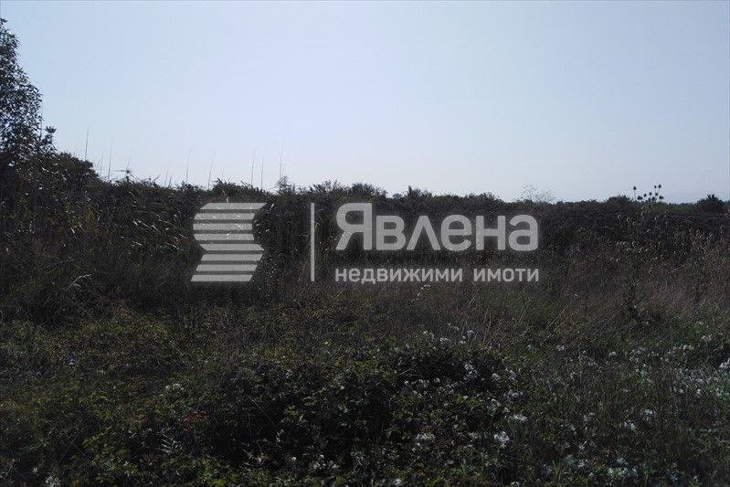 Агенция Явлена предлага на вашето внимание чудесен