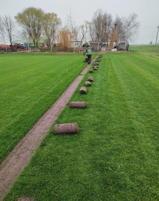 Gazon rulou sport calitate extra