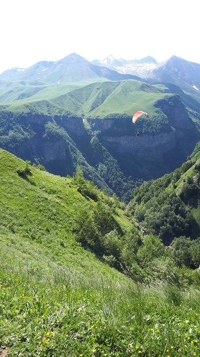 Жер кезегі сатылады 2006