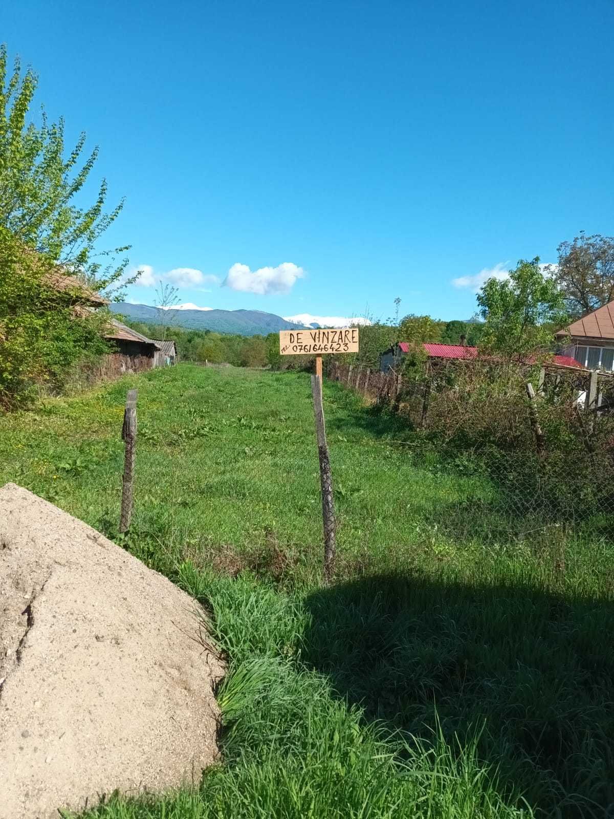 Vând teren Bumbești-Pitic
