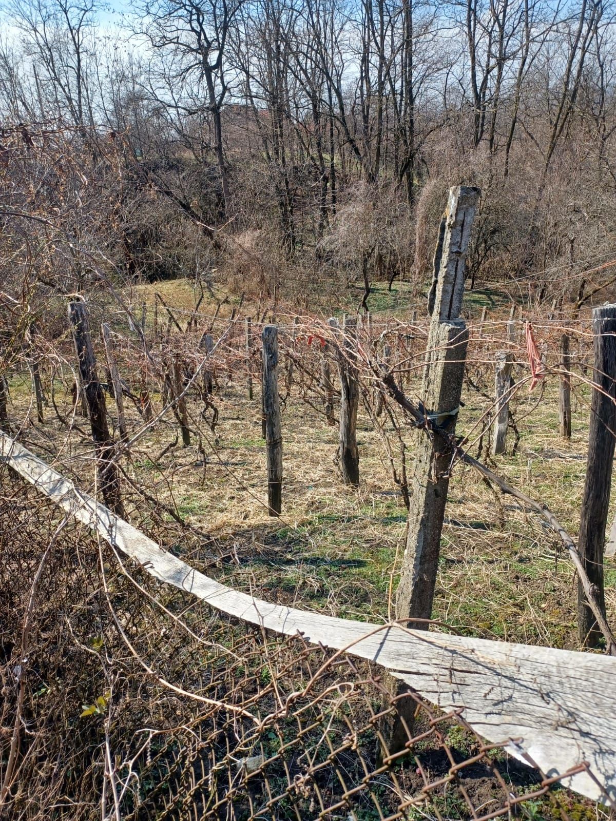 Casă de vânzare în comuna Bengesti Ciocadia