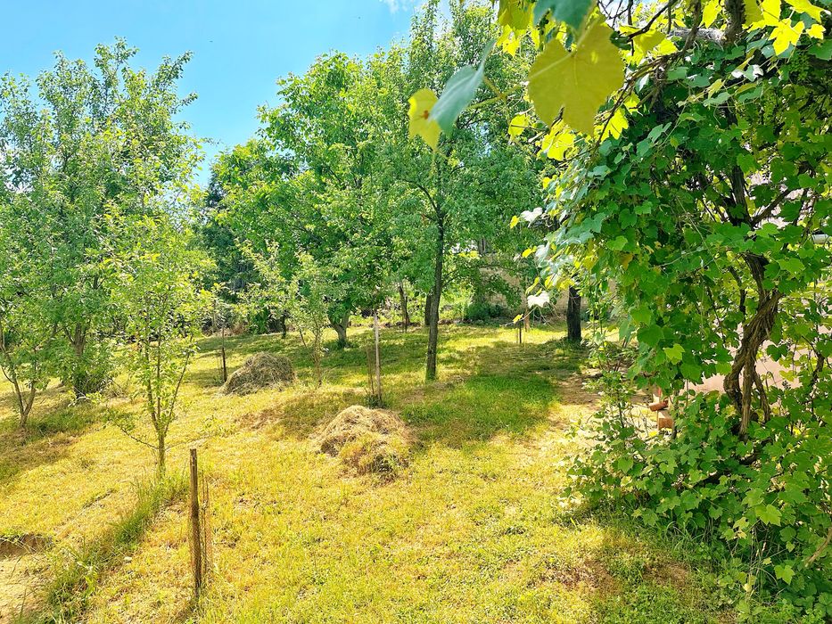 Casa cu gradina 70 ari