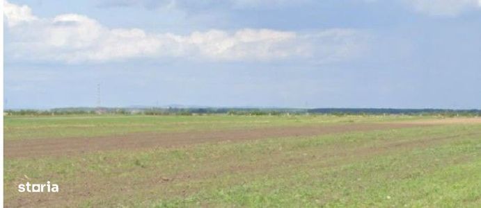 Teren extravilan Cocorastii Colt ; ID: R2710069