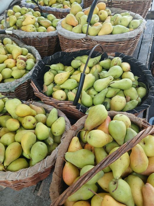 Продам груши сорт Талгарская красавица со своего огорода, очень вкусны
