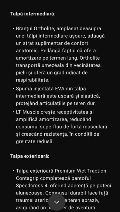 Adidași Salomon 38