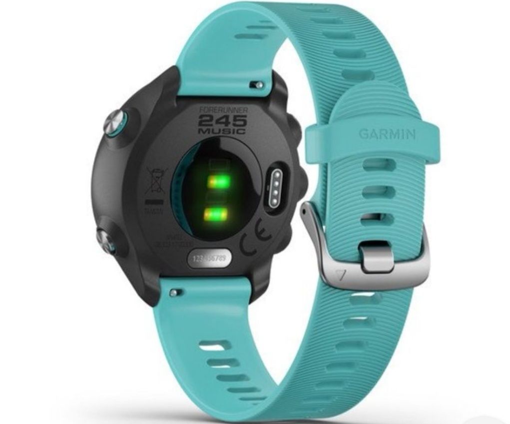 Smartwatch garmin 245