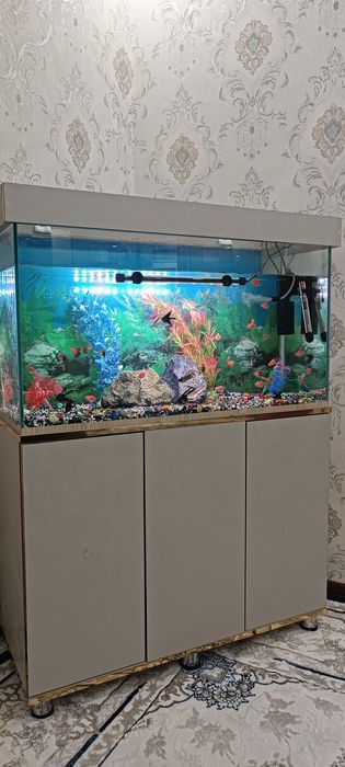 Зудлик билан сотилади