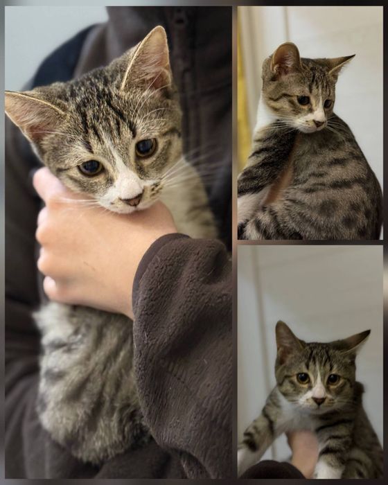 Малыш ищет семью!