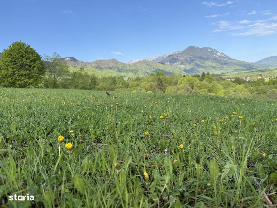 Teren intravilan construibil 500 mp la 10 km de Rasnov 16800 euro