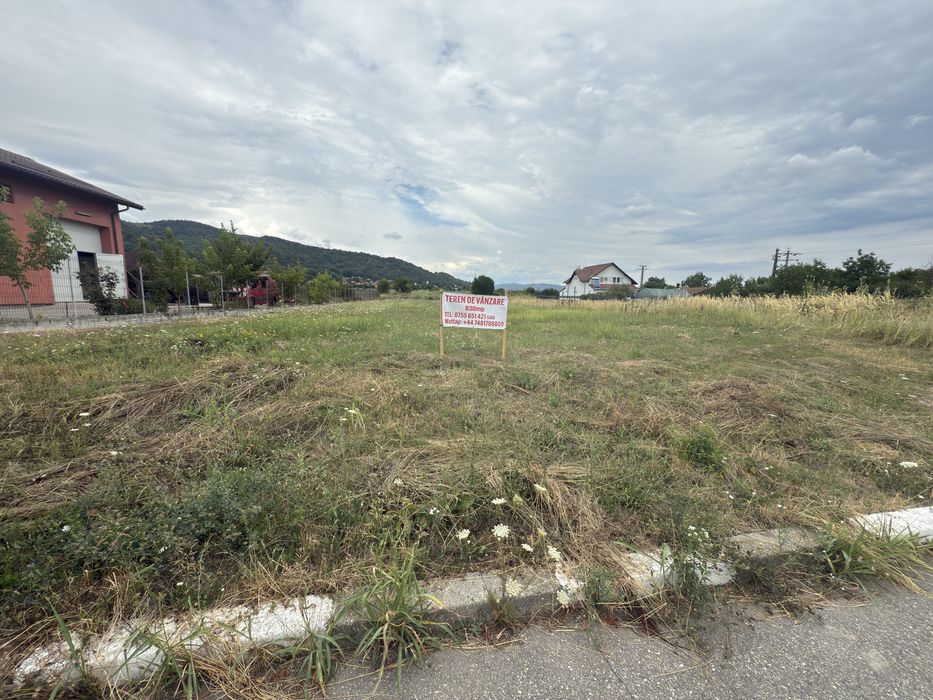 Teren de vanzare