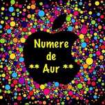 NUMEREaurGoldVipNumarPreferential