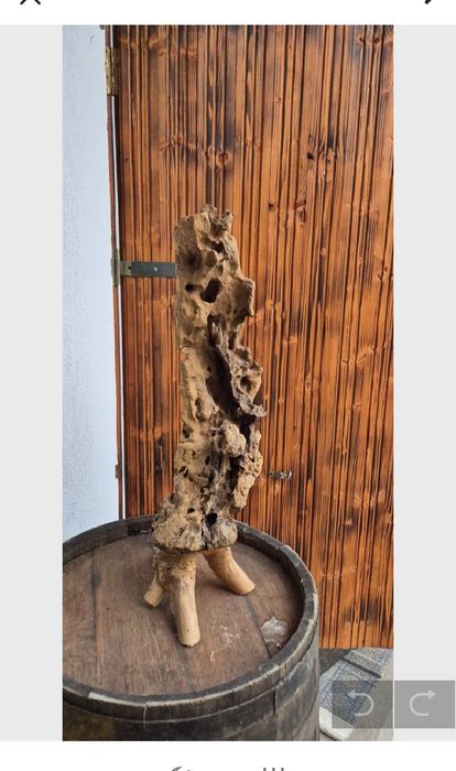 Povestea lemnului : Măslin si Cireș