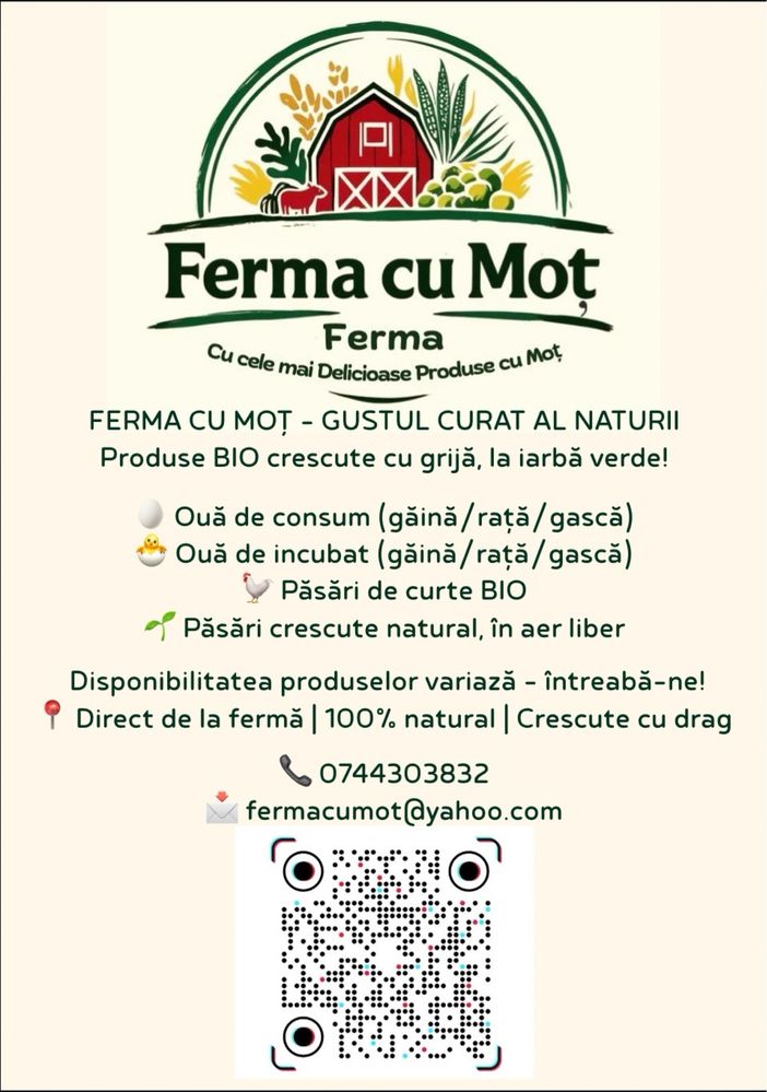 Ouă de incubat / boboci de Rate Leşești de vanzare