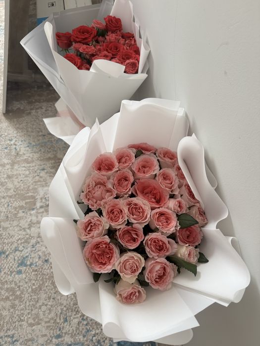 Продам цветы по доступной цене