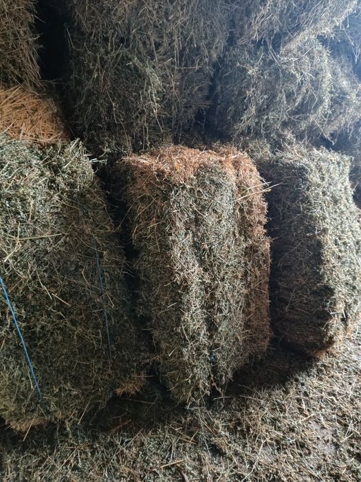 Продавам малки бали люцерна супер качество