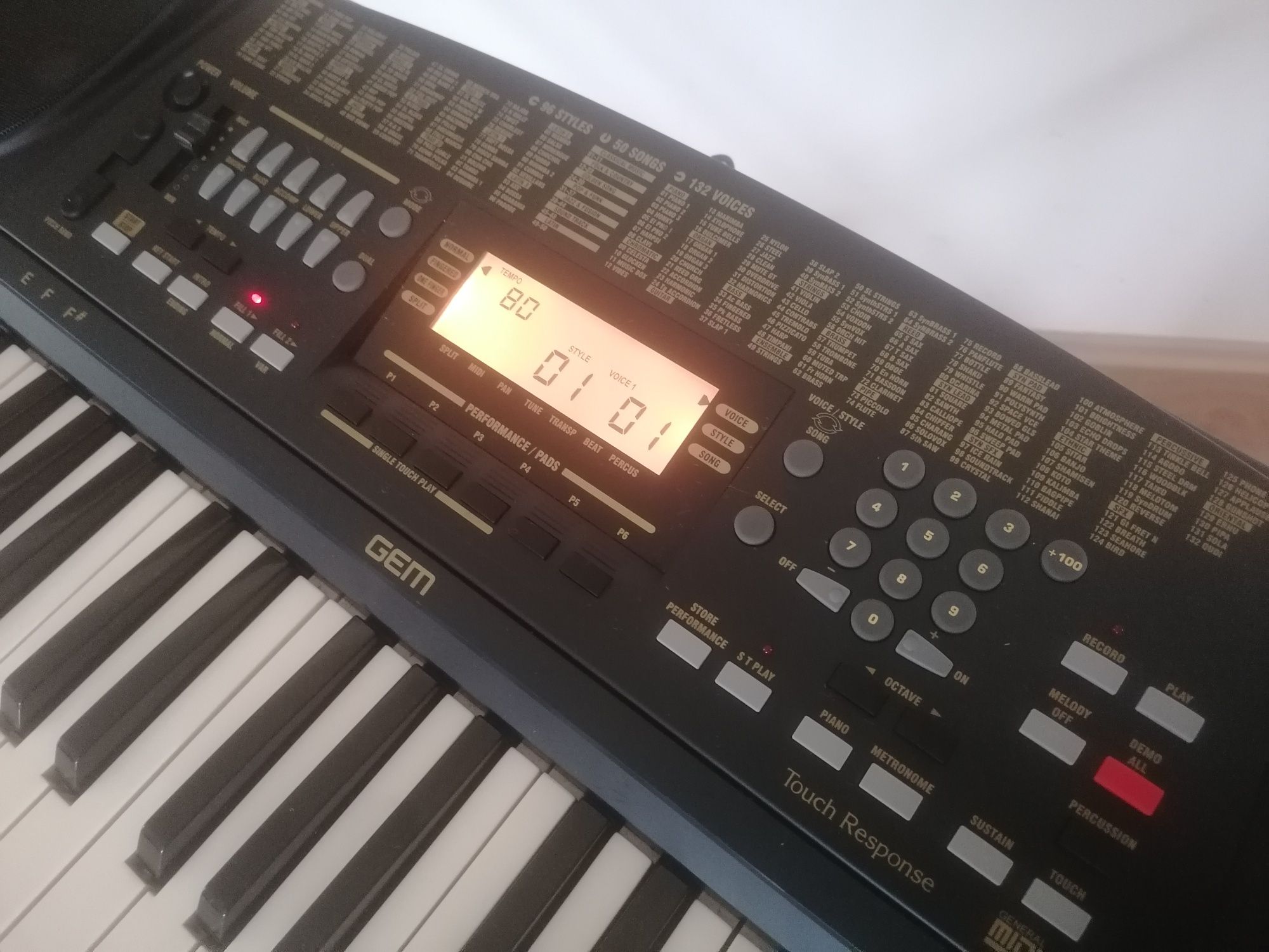 GEM GK-310 dinamic touch Display