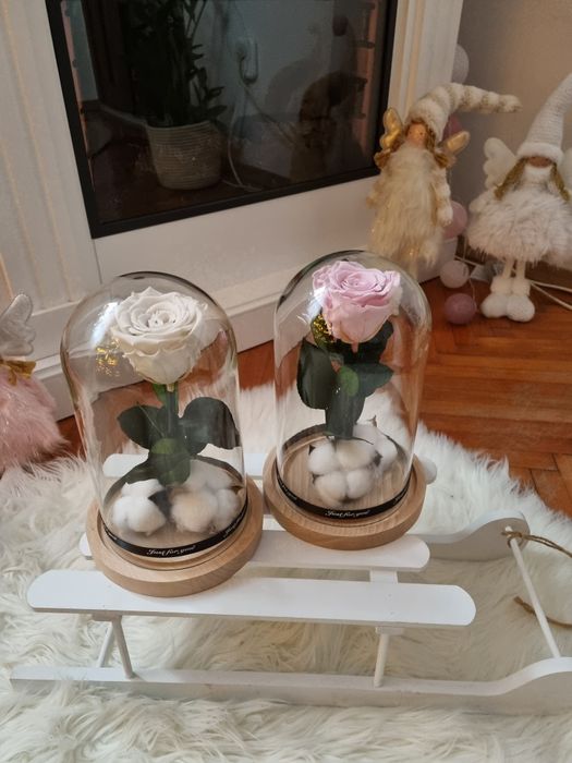 Trandafiri criogenati !