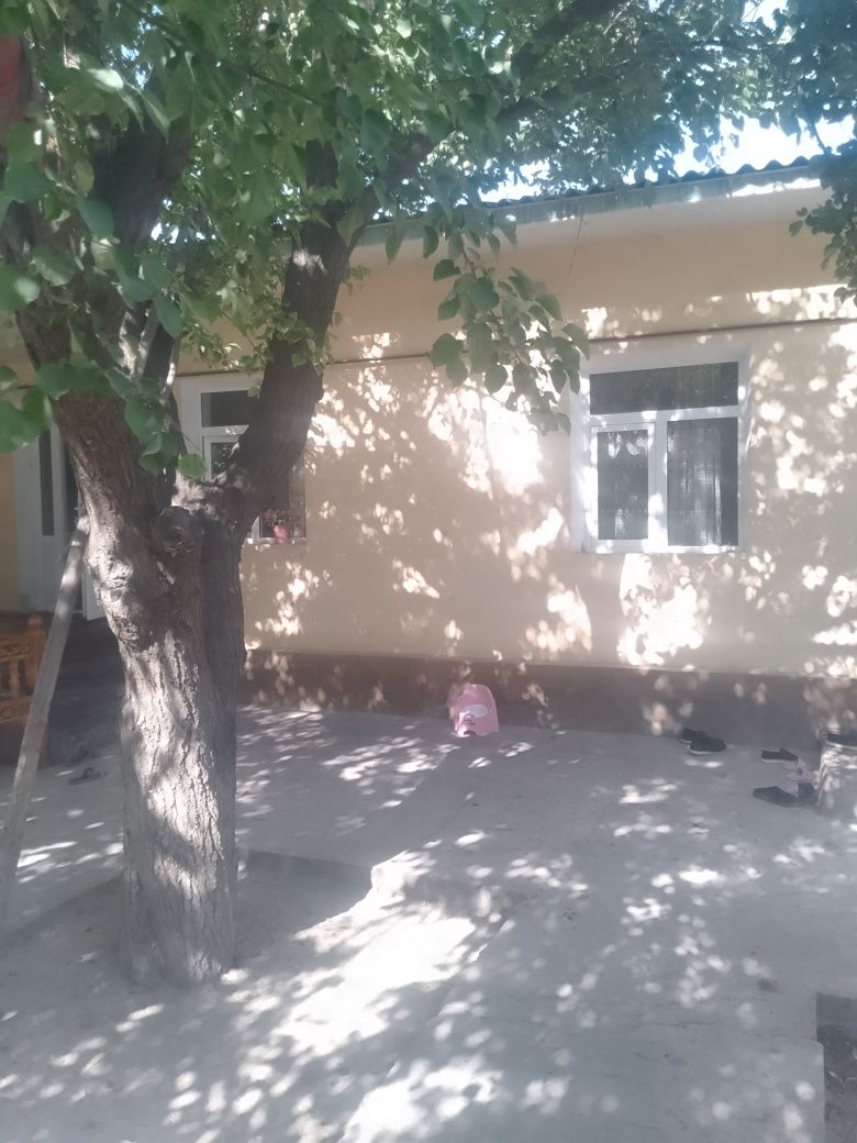 Hovli 7.5 sotih 65 000$