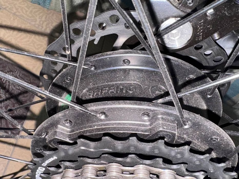 Electric bike arginal
