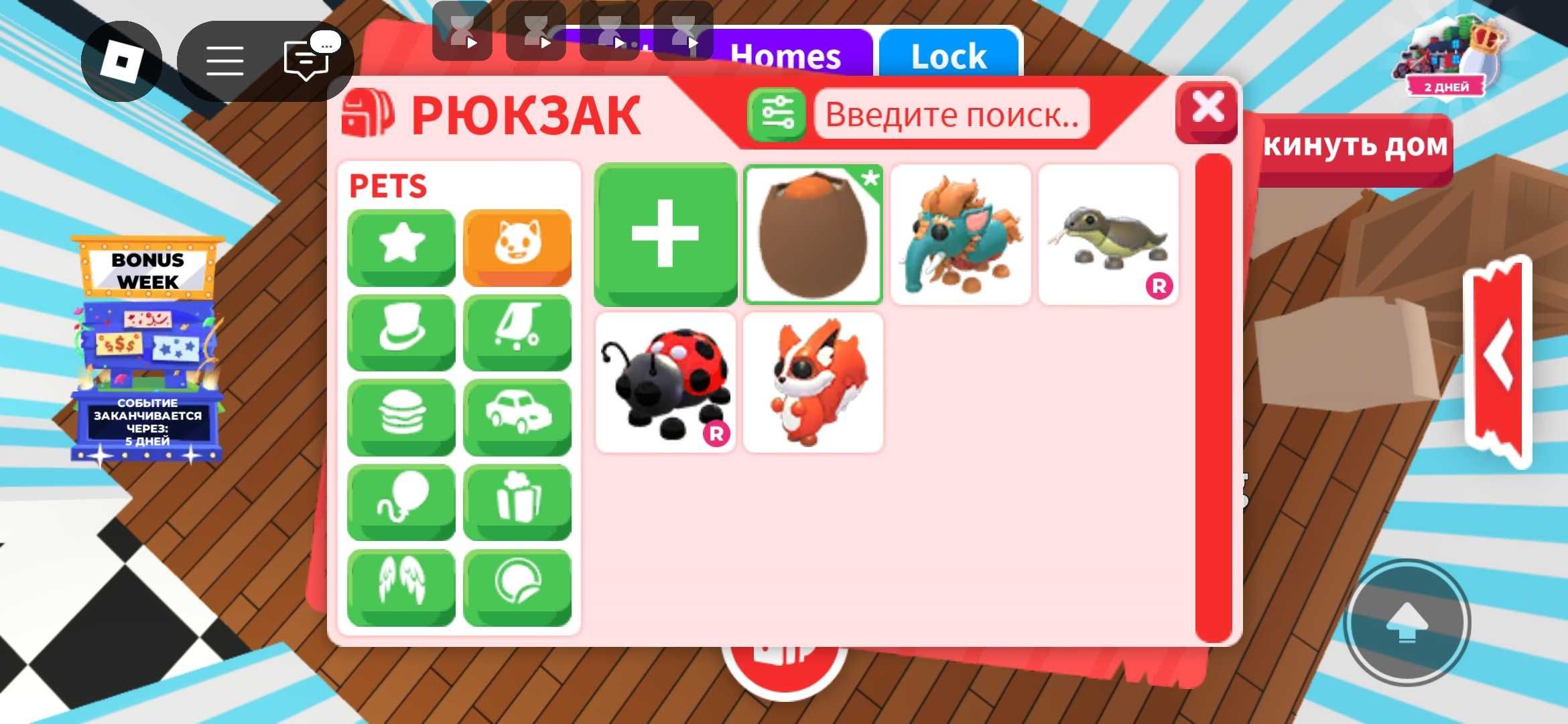 Адопт ми продам петов