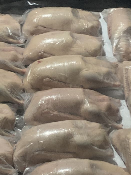 Продам мясо гуся