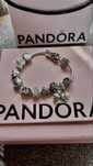 Charmuri Pandora