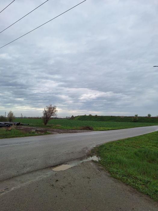 Proprietar, vand teren intravilan Vladimirescu 2600 mp  FS 24ml